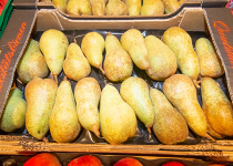 EDEKA_Falkenstein_51