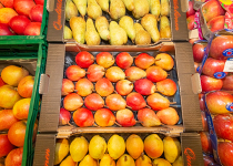 EDEKA_Falkenstein_52