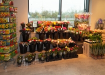 EDEKA_Baidinger_in_Wittislingen_24