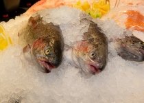 Edeka_Marx_Lengenwang_046