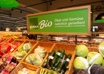 Eeka_Tesler_Rottenburg40
