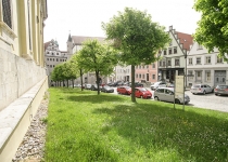 27_20_Amalienstrasse_1