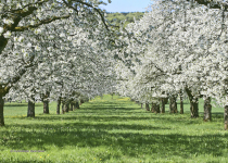 15_Galerie_Neuburg_Cityfotostudio_15